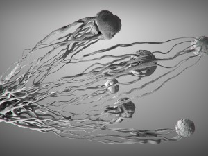 cancer growth static 3 3D Model