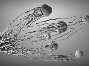 cancer growth static 3 3D Model