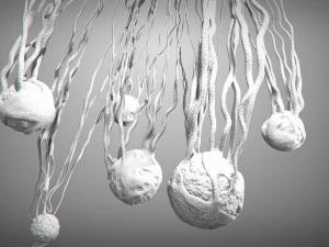 cancer growth static 3 3D Model
