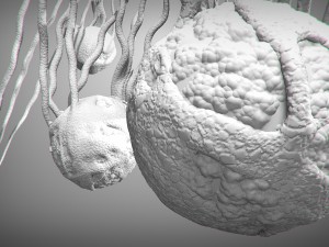 cancer growth static 3 3D Model