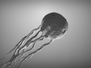 cancer growth static 3 3D Model