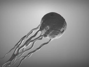 cancer growth static 3 3D Model