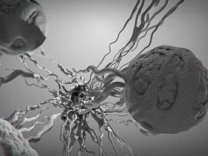 cancer growth static 3 3D Model