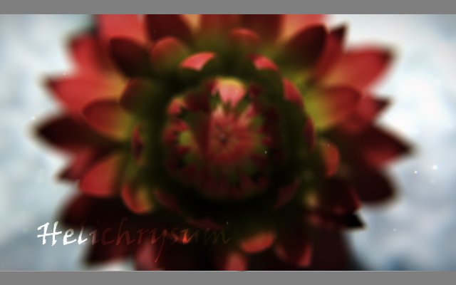 aster 3d growth animated model 3Dモデル .c4d .max .obj .3ds .fbx .stl .blend 