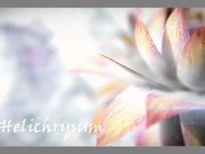 aster 3d growth animated model 3D Model