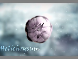aster 3d growth animated model 3Dモデル