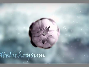 aster 3d growth animated model 3D Model