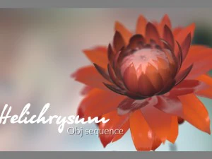 aster 3d growth animated model 3D Model