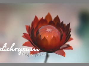 aster 3d growth animated model 3D Model