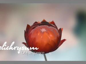 aster 3d growth animated model 3D Model