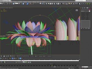 aster 3d growth animated model 3Dモデル