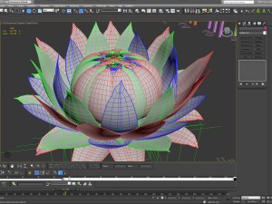 aster 3d growth animated model 3Dモデル