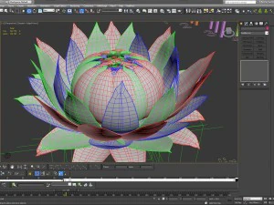 aster 3d growth animated model 3D Model