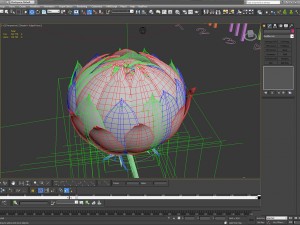 aster 3d growth animated model 3Dモデル