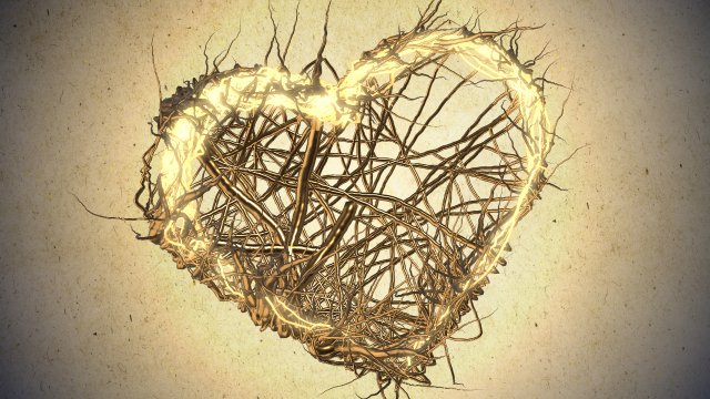 valentine heart growth animated 3d sequence 3D मॉडल .c4d .max .obj .3ds .fbx .stl .blend 