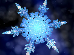 snowflake growth animated and obj sequence 3D Model