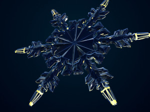 snowflake growth animated and obj sequence Model 3D