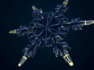 snowflake growth animated and obj sequence 3D Model