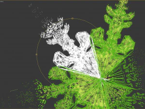 snowflake growth animated and obj sequence 3D Model