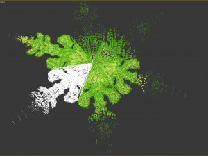 snowflake growth animated and obj sequence Model 3D