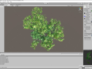 acer tree 01 pbr 3D 모델