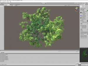 acer tree 01 pbr 3D 모델
