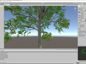 acer tree 01 pbr 3D 모델