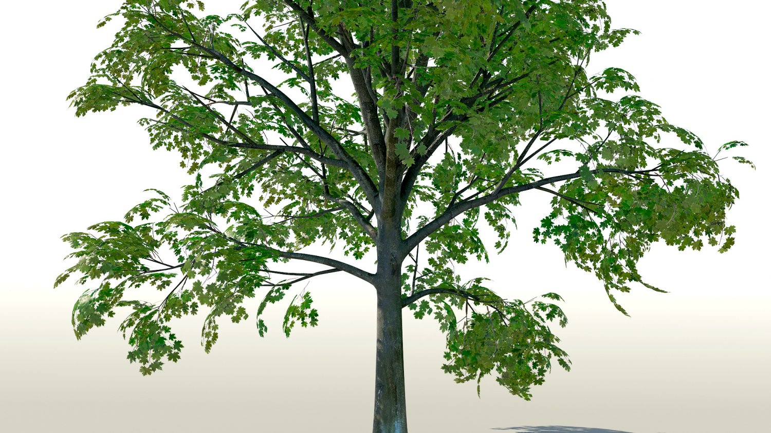 Tree 1.18