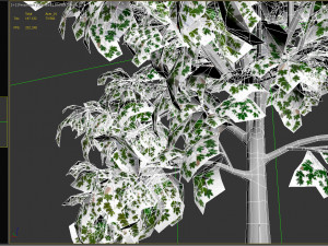 acer tree 01 pbr 3D 모델