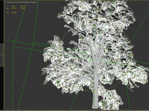 acer tree 01 pbr 3D 모델
