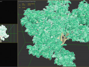 maple acer tree 01 archviz Modello 3D