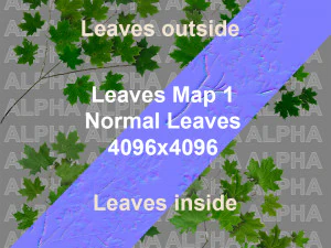 &aacute;rvore de bordo acer 01 arquiviz Modelo 3D