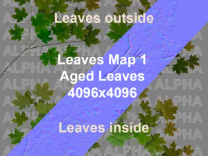 &aacute;rvore de bordo acer 01 arquiviz Modelo 3D