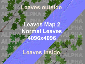 &aacute;rvore de bordo acer 01 arquiviz Modelo 3D