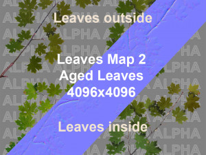 maple acer tree 01 archviz Modello 3D