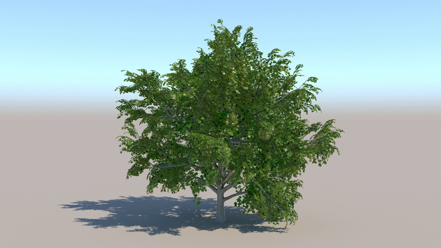 Two trees прошивка. Two trees прошивка. Two trees прошивка. Деревья для артлантиса. Two trees прошивка.