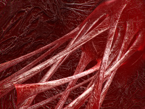 heart bloody rigged animated 3D 模型