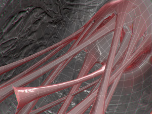 heart no blood rigged animated 3D Model