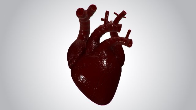 heart covered in blood rigged animated pbr 3D Model .c4d .max .obj .3ds .fbx .stl .blend 