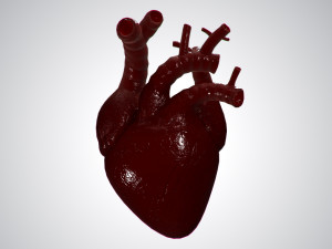 heart covered in blood rigged animated pbr 3D Model
