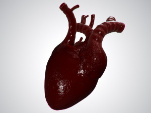 heart covered in blood rigged animated pbr 3D Model