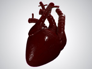 heart covered in blood rigged animated pbr 3D Model