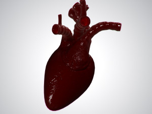 heart covered in blood rigged animated pbr 3D Model