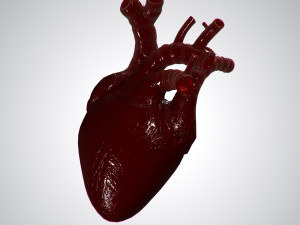 heart covered in blood rigged animated pbr 3D Model