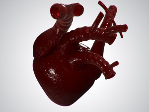 heart covered in blood rigged animated pbr 3D Model