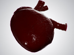 heart covered in blood rigged animated pbr 3D Model