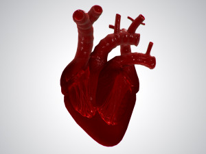 heart covered in blood rigged animated pbr 3D Model