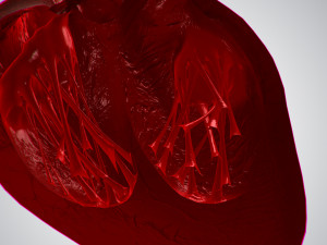 heart covered in blood rigged animated pbr 3D Model