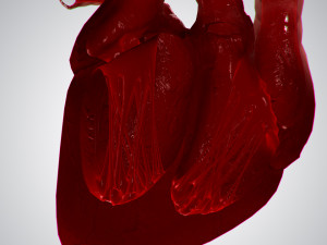 heart covered in blood rigged animated pbr 3D Model