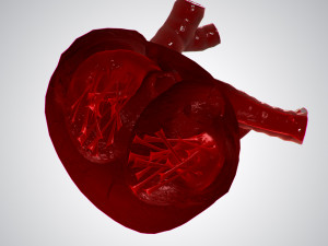 heart covered in blood rigged animated pbr 3D Model